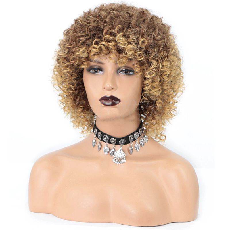 African Curly Wig – Exotic & Versatile Styling - Pasha