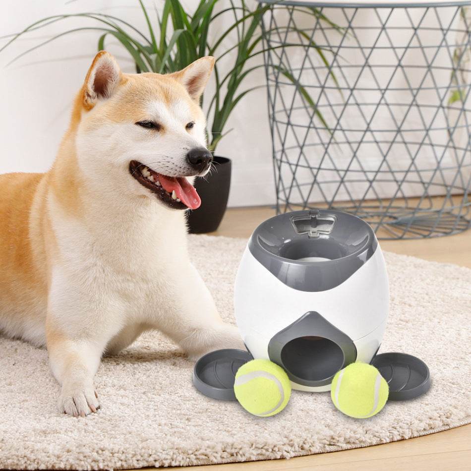 Pet Feeder Tennis Leakage Toy – Interactive Feeding Toy for Dogs - Pasha