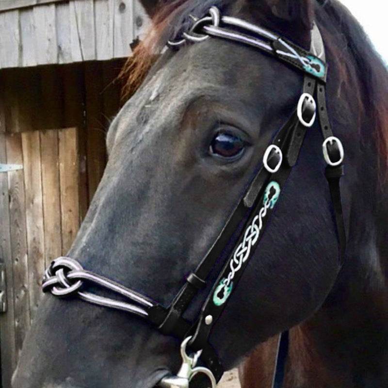 Premium PU Reins for Equestrian Sports – Durable Black Horse Bridle, Universal Use, Size M - Pasha