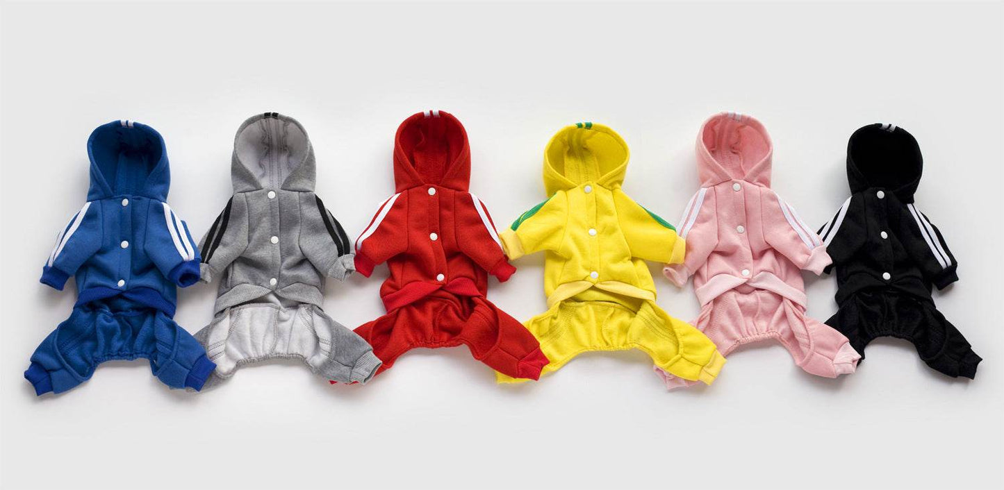 Teddy Dog Hoodie – Stylish and Cozy Dog Clothing - Pasha