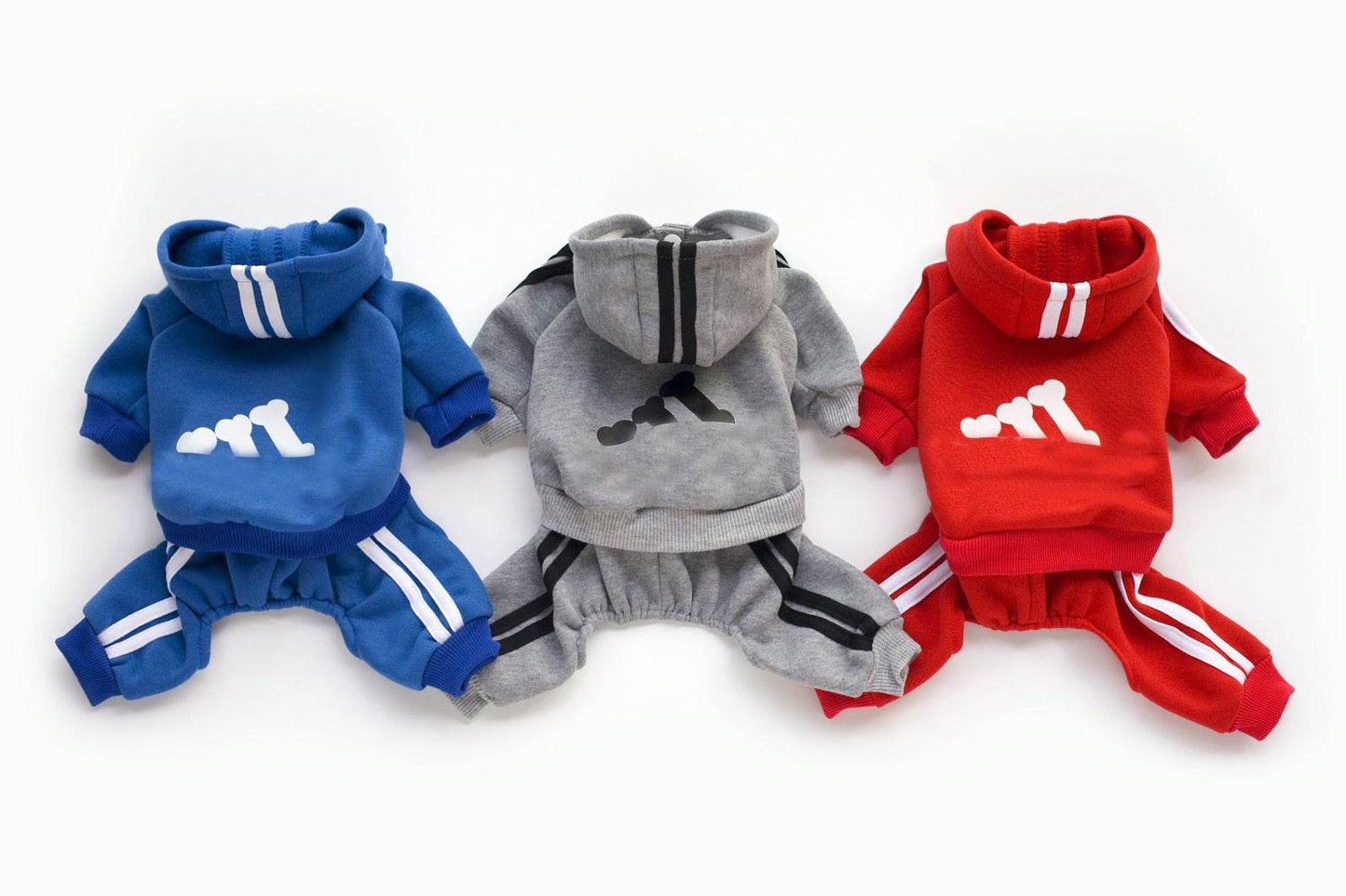 Teddy Dog Hoodie – Stylish and Cozy Dog Clothing - Pasha