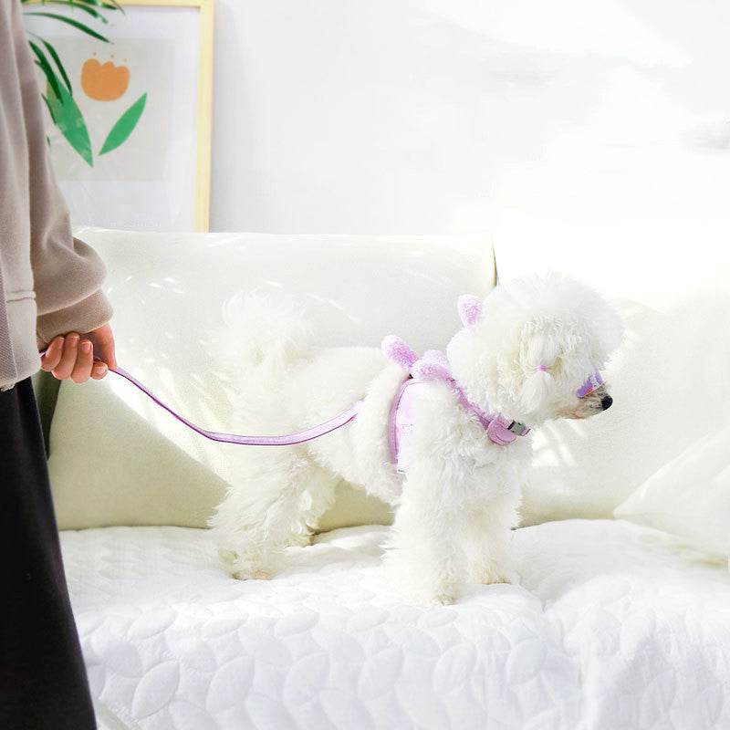 High-Quality Cat and Dog Harness and Leash Set in Vest Style – Comfortable & Secure Pet Walks - Pasha