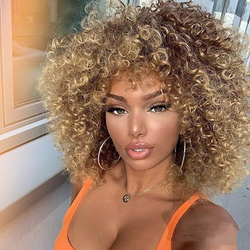 Afro Curly Wig – Premium & Customizable - Pasha