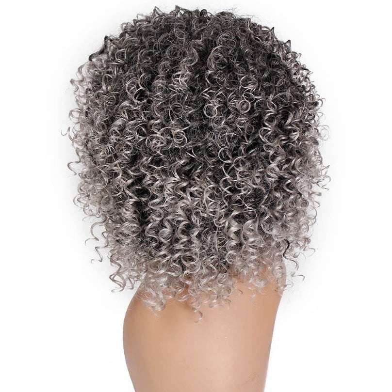 High-Temperature Long Curly Wig – Realistic & Fluffy - Pasha