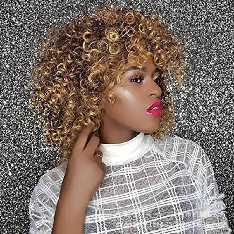 Afro Curly Wig – Premium & Customizable - Pasha