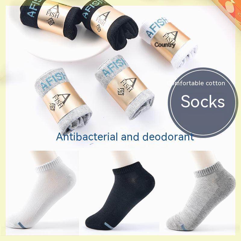Men´s four season Sweat Absorbing Antibacterial Cotton Socks-7 piece - Pasha