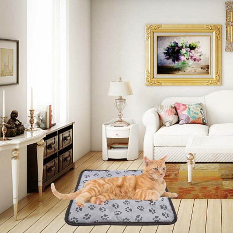 Electric Pet Heating Pad – Anti-Scratch & Cozy - Pasha