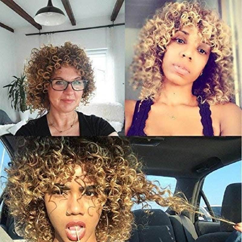 Afro Curly Wig – Premium & Customizable - Pasha