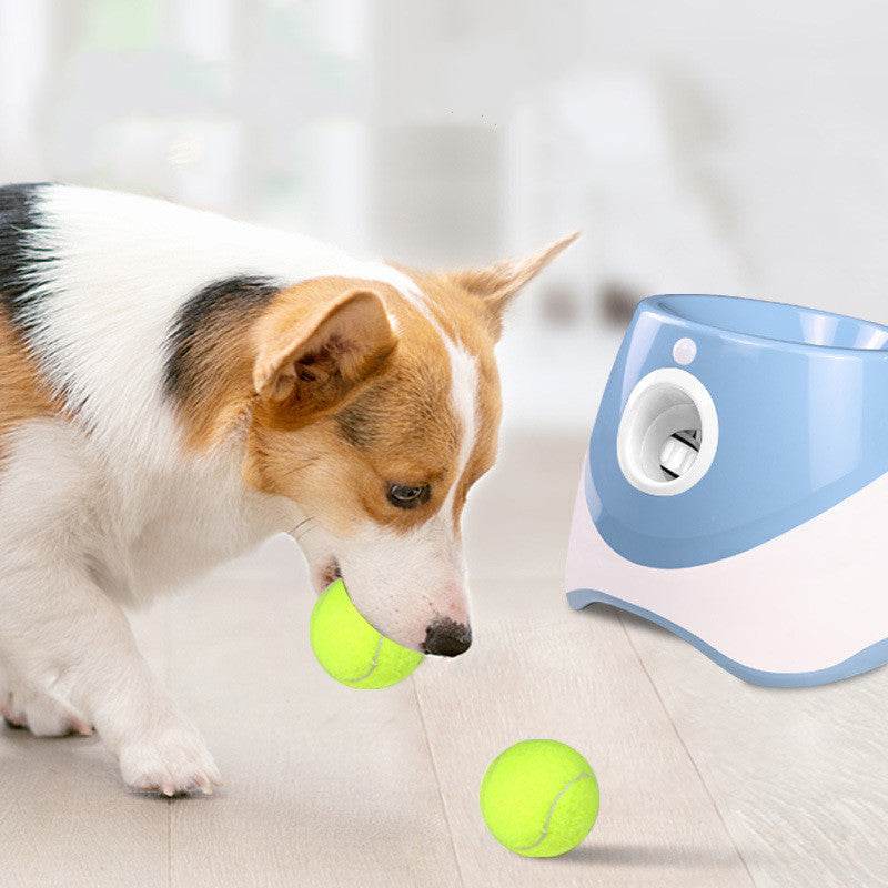 Pet Electric Tennis Ball Launcher – Perfect Toy for Dogs and Cats - Pasha