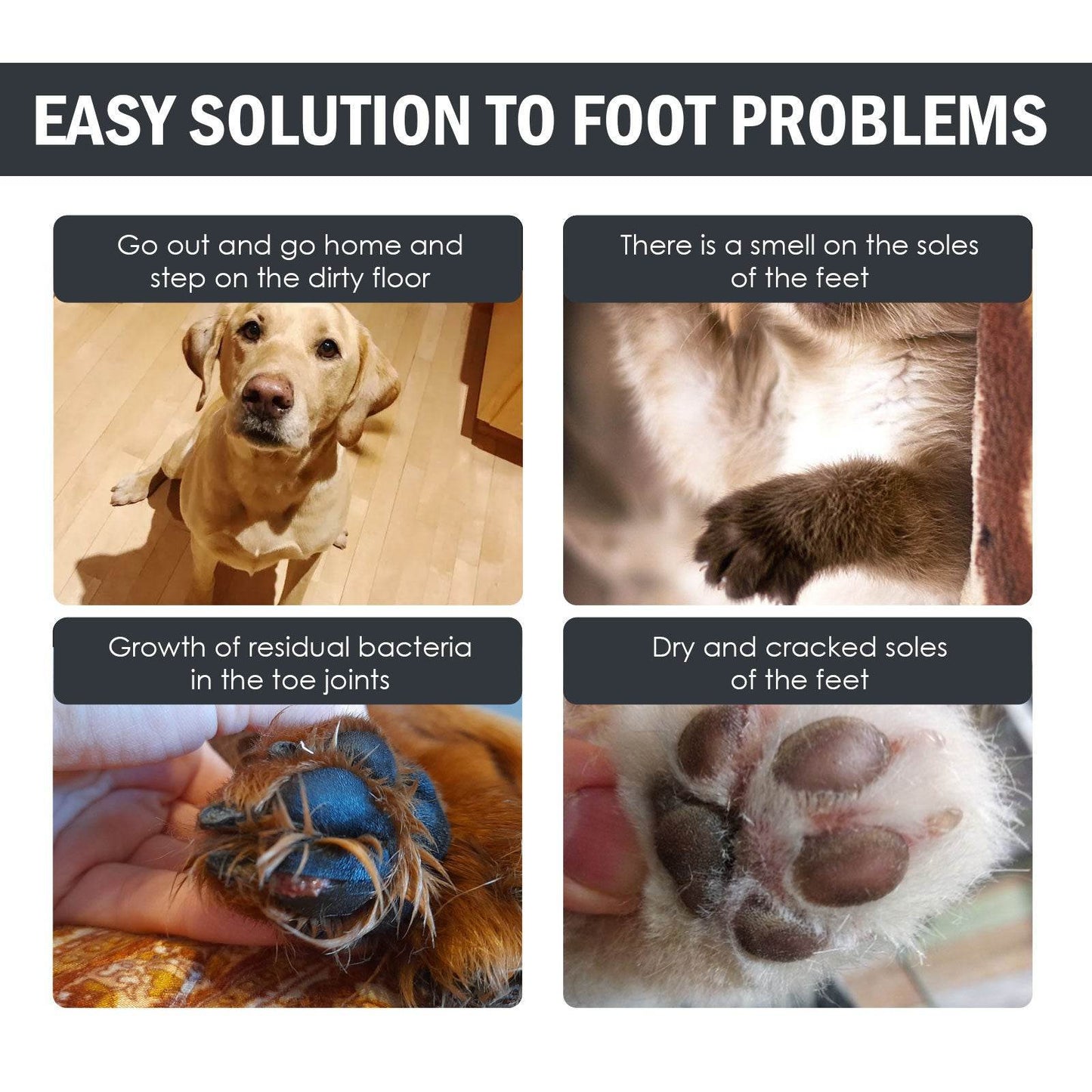 Dog Paw Care Solution – 100ml, Protects and Moisturizes Your Dog’s Paws - Pasha