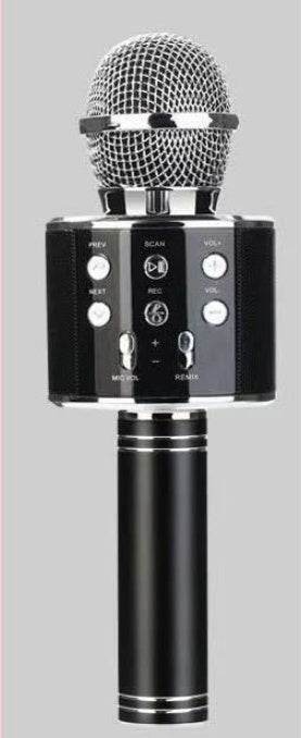 Bluetooth Karaoke Microphone – Party & Fun - Pasha