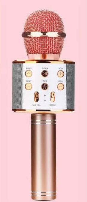 Bluetooth Karaoke Microphone – Party & Fun - Pasha