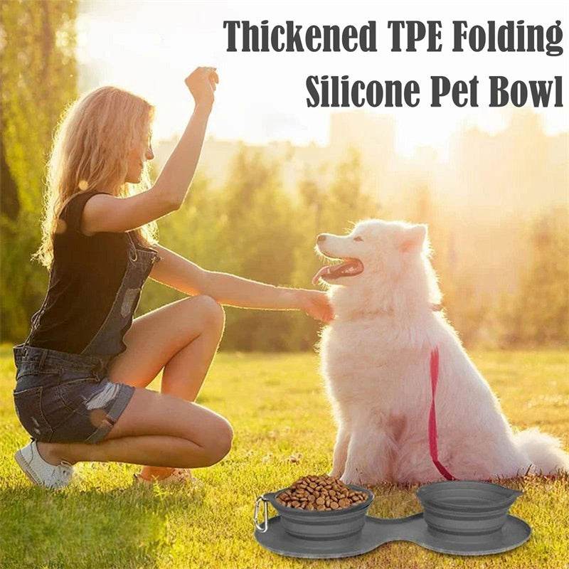Foldable Rubber Double Bowl for Pets – Ideal for Feeding & Travel - Pasha
