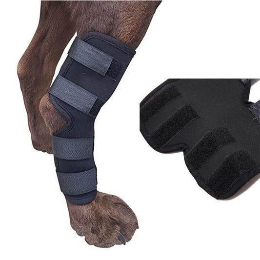 Dog Leg Brace – Support and Stability for Injured or Post-Surgery Dogs - Pasha