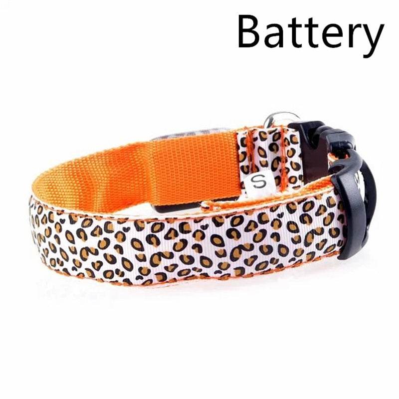 Rechargeable LED Flash Dog Collar – Enhanced Safety for Your Dog - Pasha