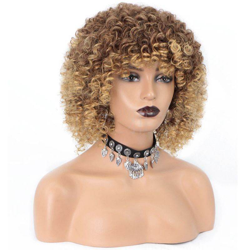 African Curly Wig – Exotic & Versatile Styling - Pasha
