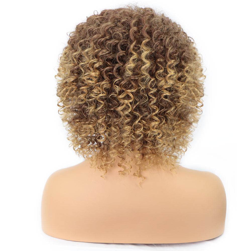 African Curly Wig – Exotic & Versatile Styling - Pasha