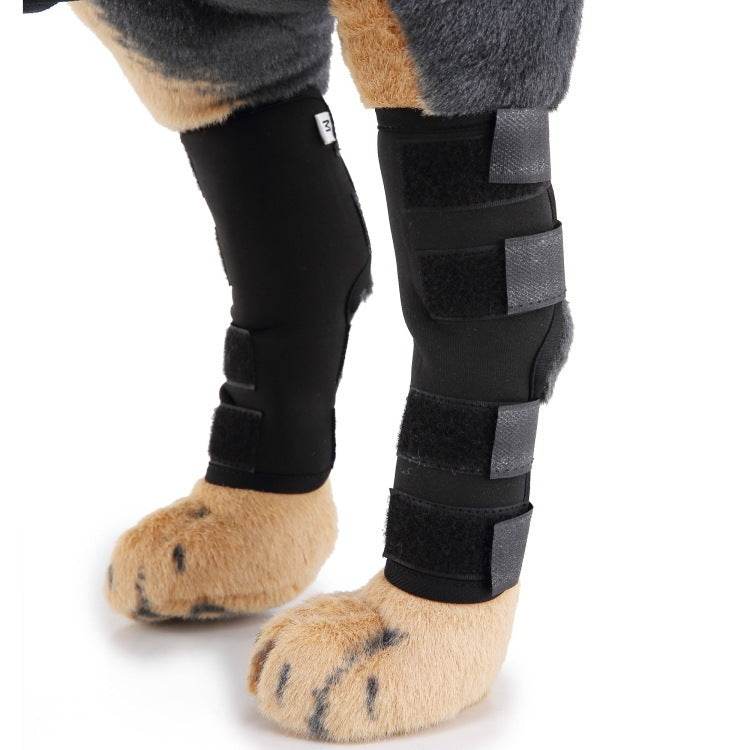 Dog Leg Brace – Support and Stability for Injured or Post-Surgery Dogs - Pasha
