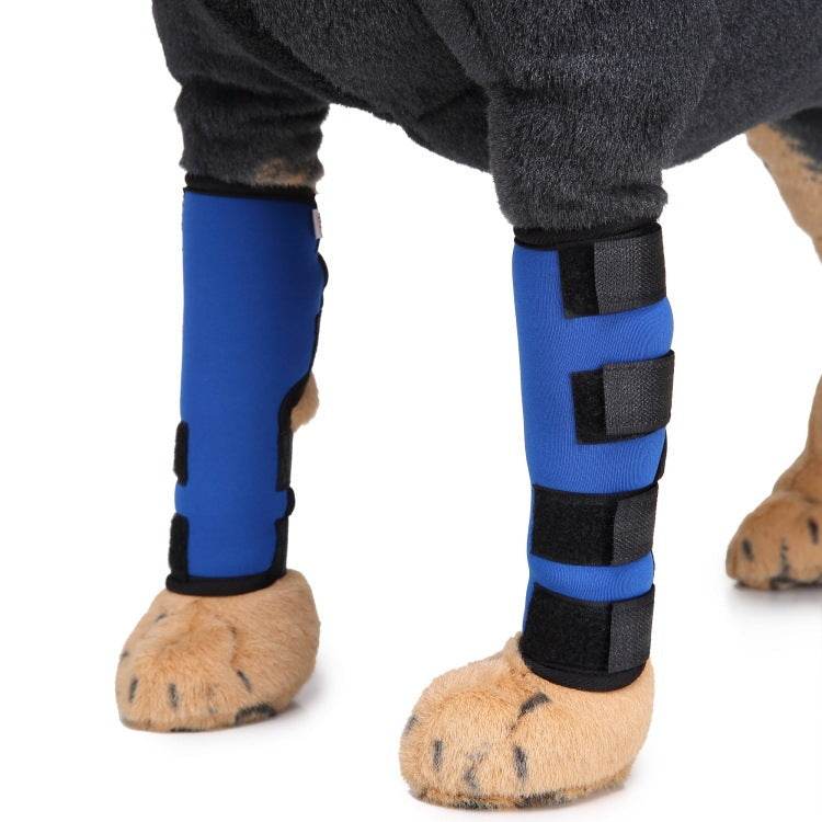 Dog Leg Brace – Support and Stability for Injured or Post-Surgery Dogs - Pasha