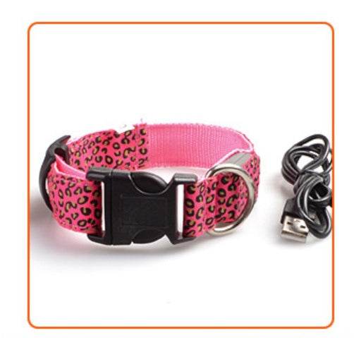Rechargeable LED Flash Dog Collar – Enhanced Safety for Your Dog - Pasha