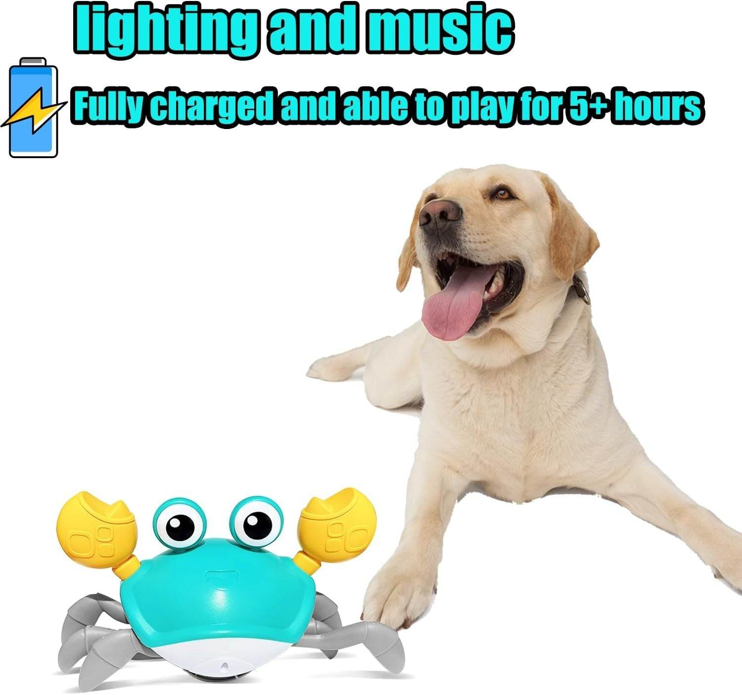 Crawling Crab Toy with Sensor – Interactive - Pasha