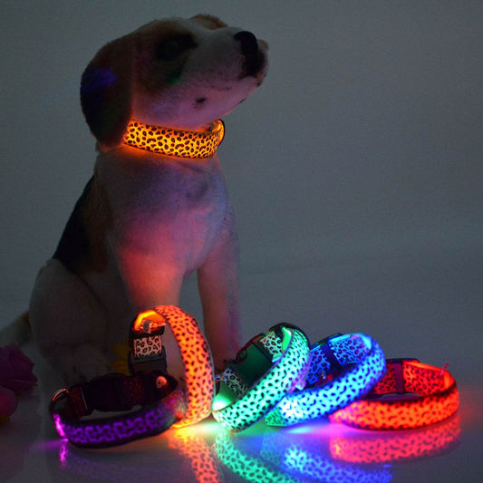Rechargeable LED Flash Dog Collar – Enhanced Safety for Your Dog - Pasha