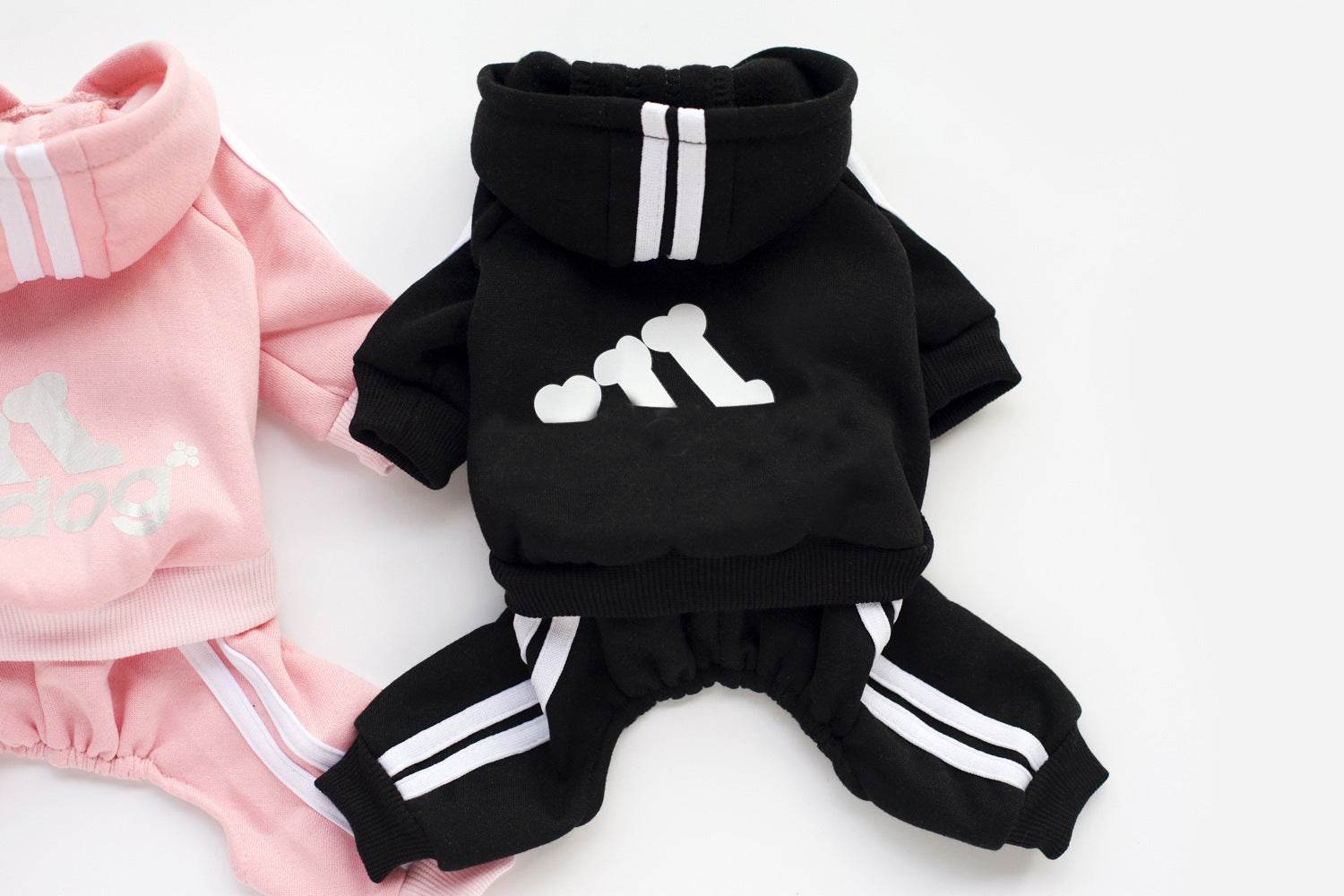 Teddy Dog Hoodie – Stylish and Cozy Dog Clothing - Pasha