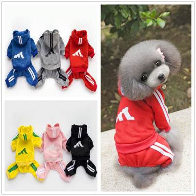 Teddy Dog Hoodie – Stylish and Cozy Dog Clothing - Pasha