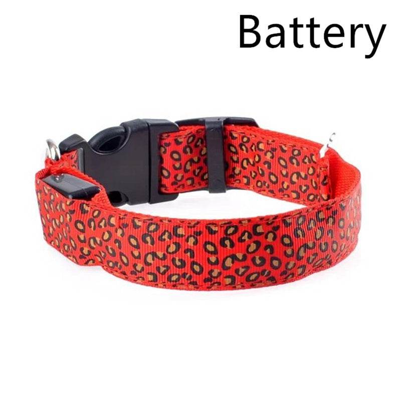 Rechargeable LED Flash Dog Collar – Enhanced Safety for Your Dog - Pasha