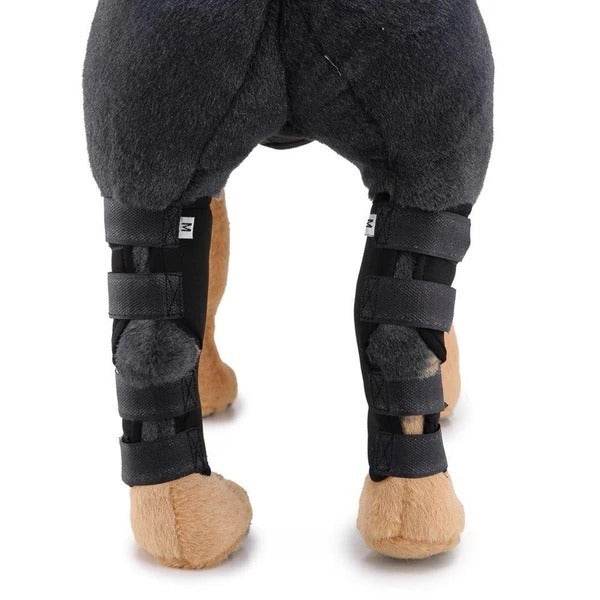 Dog Leg Brace – Support and Stability for Injured or Post-Surgery Dogs - Pasha