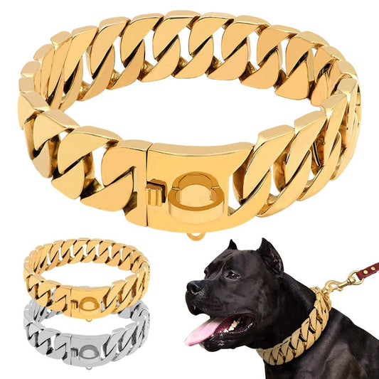 Stainless Steel Dog Chain – Durable Dog Collar in Various Sizes - Pasha
