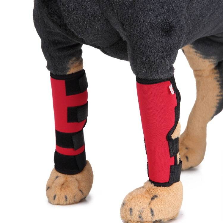 Dog Leg Brace – Support and Stability for Injured or Post-Surgery Dogs - Pasha
