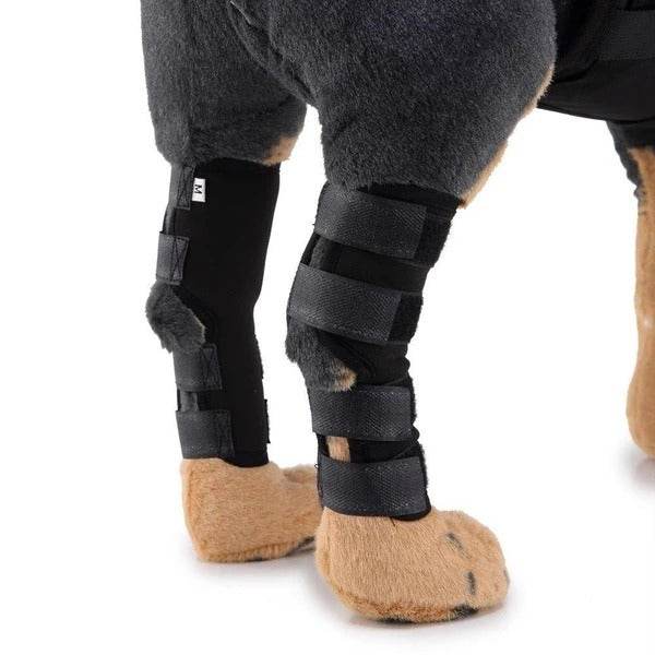 Dog Leg Brace – Support and Stability for Injured or Post-Surgery Dogs - Pasha