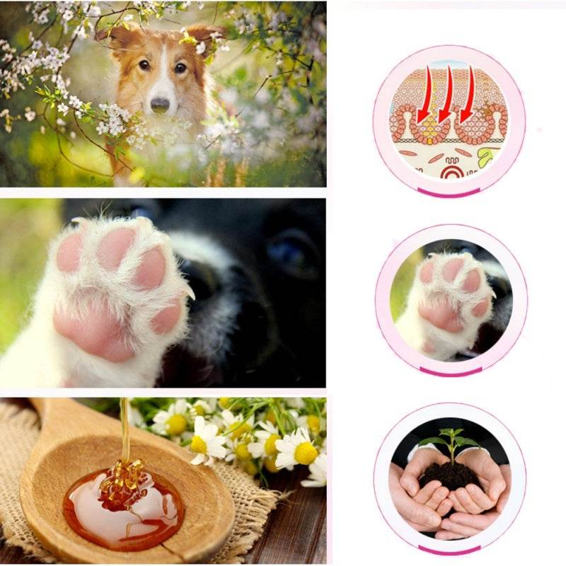 PETSTWO Palm Protector – Moisturizing Paw Cream for Dogs and Cats, Natural Ingredients, 60g - Pasha