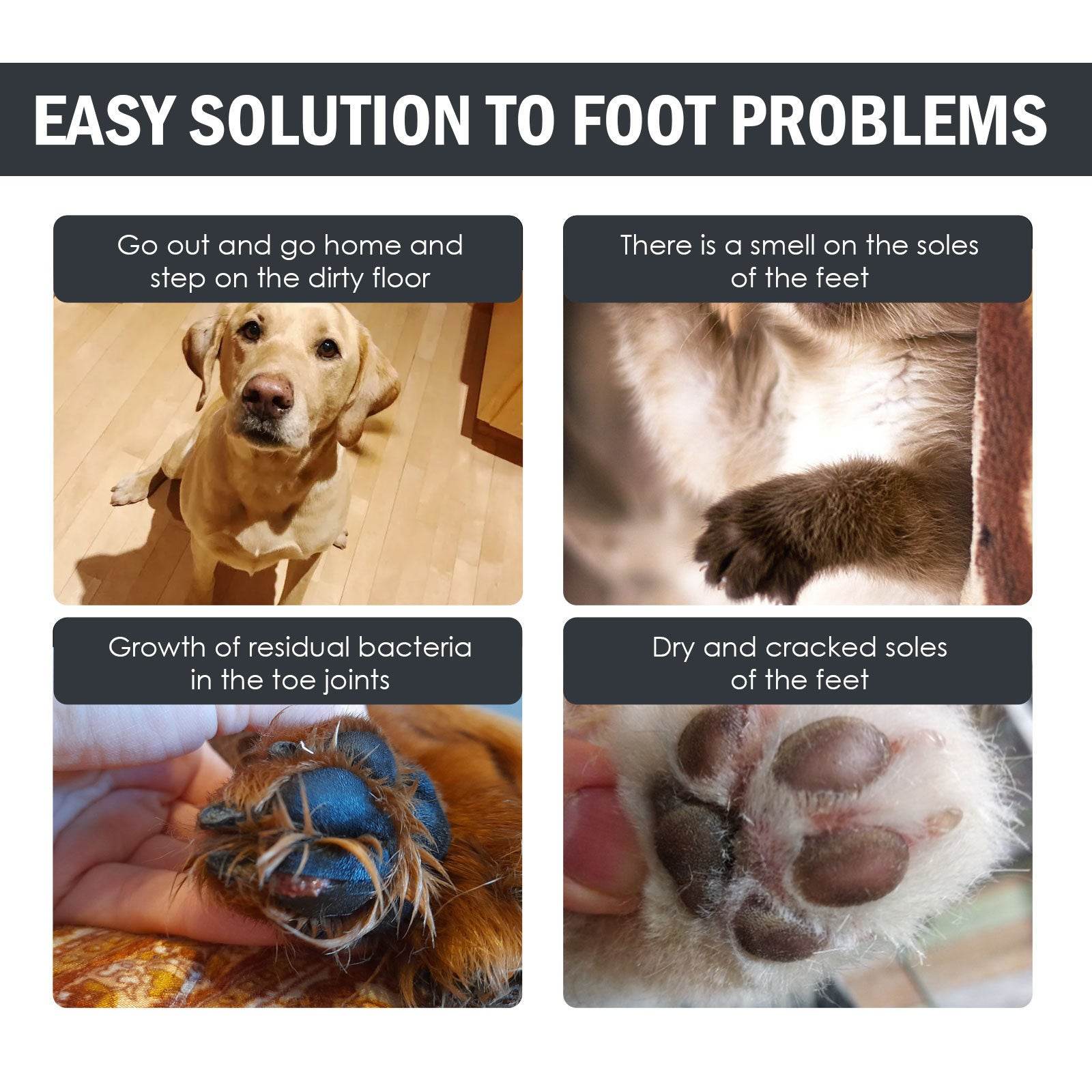 Dog Paw Care Solution – 100ml, Protects and Moisturizes Your Dog’s Paws - Pasha