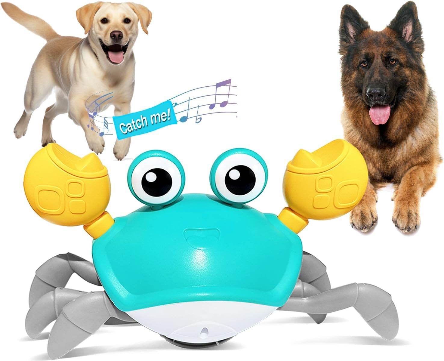 Crawling Crab Toy with Sensor – Interactive - Pasha