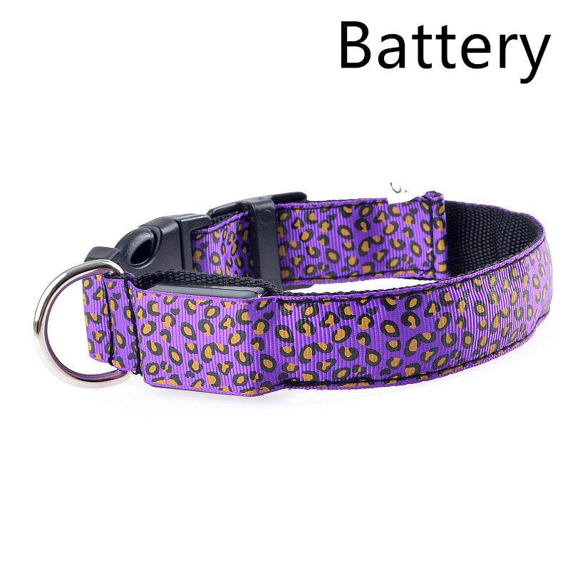 Rechargeable LED Flash Dog Collar – Enhanced Safety for Your Dog - Pasha