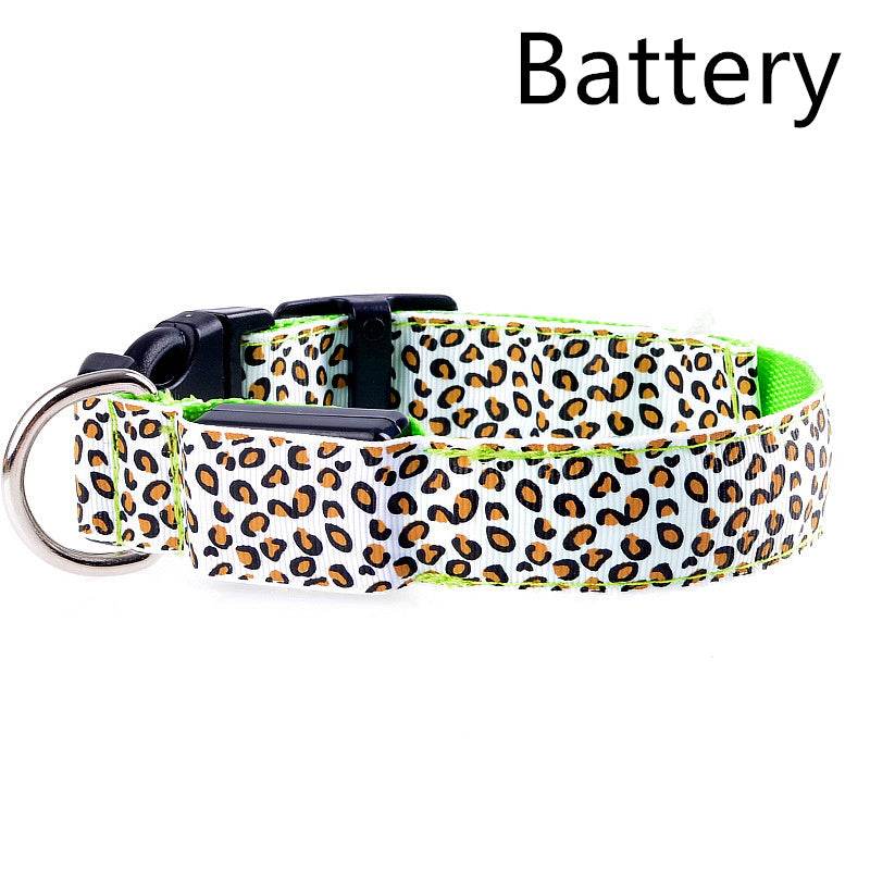 Rechargeable LED Flash Dog Collar – Enhanced Safety for Your Dog - Pasha